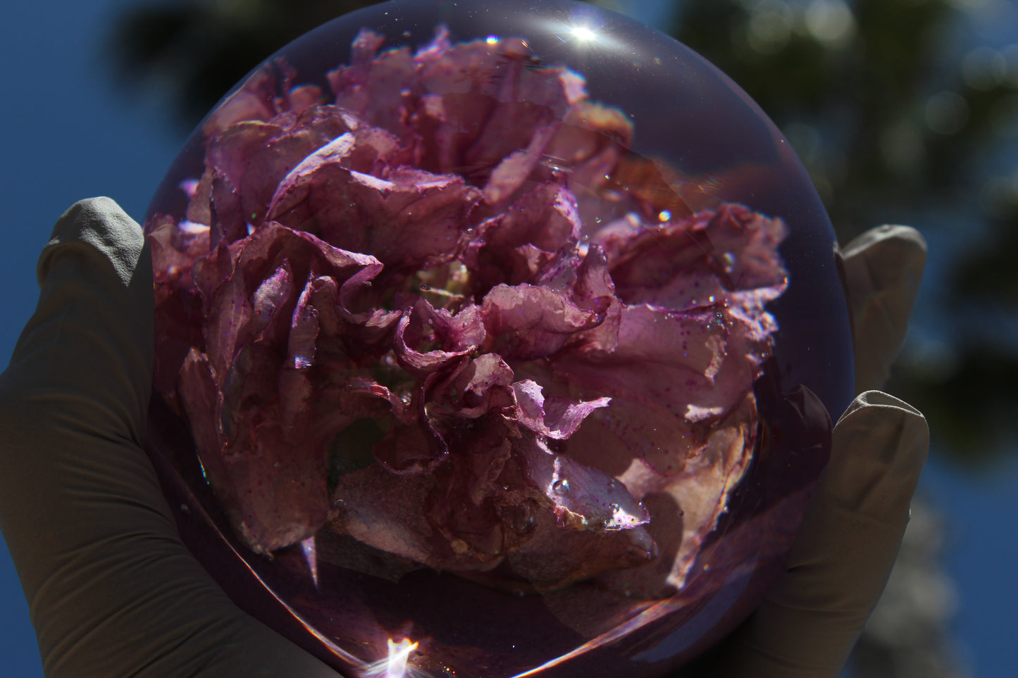 Lavender Tea