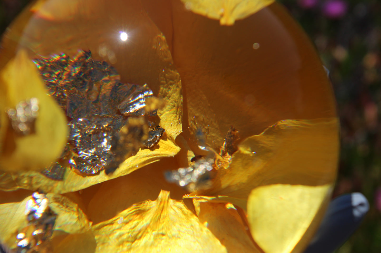 Pineapple Petals