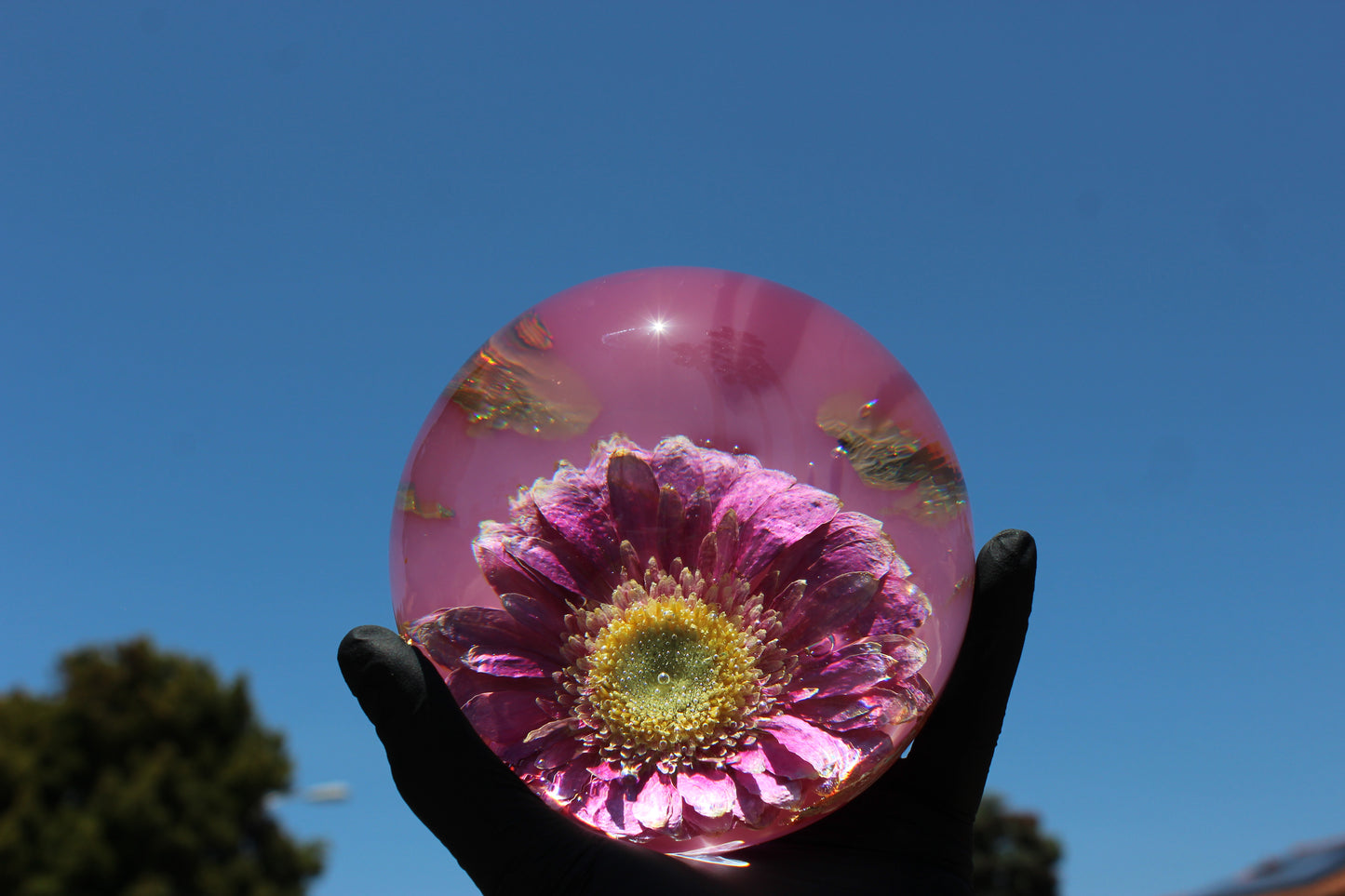 Pink Sun Flow