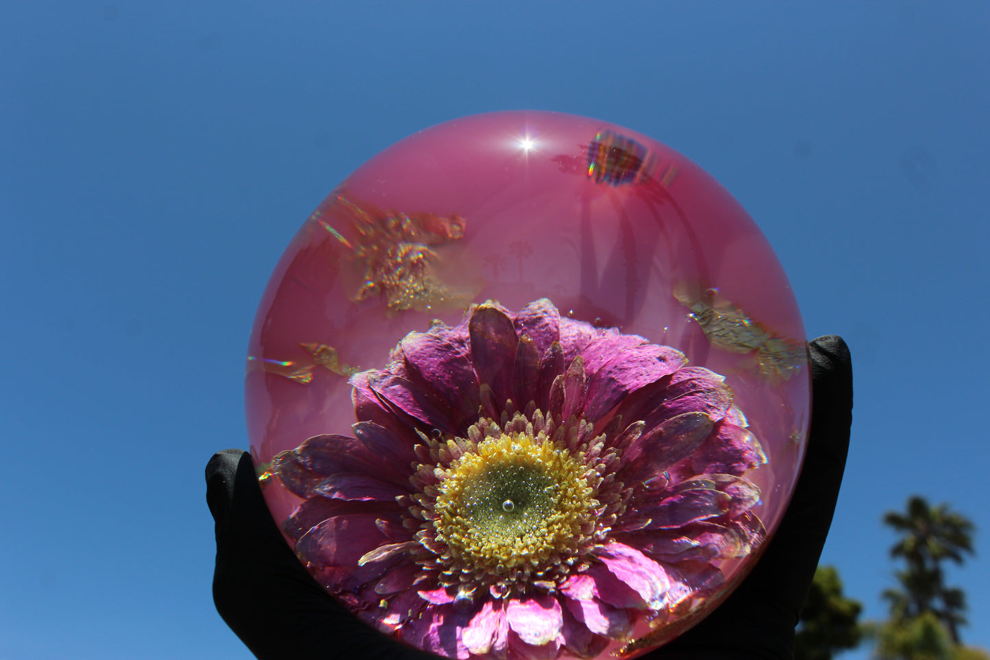 Pink Sun Flow