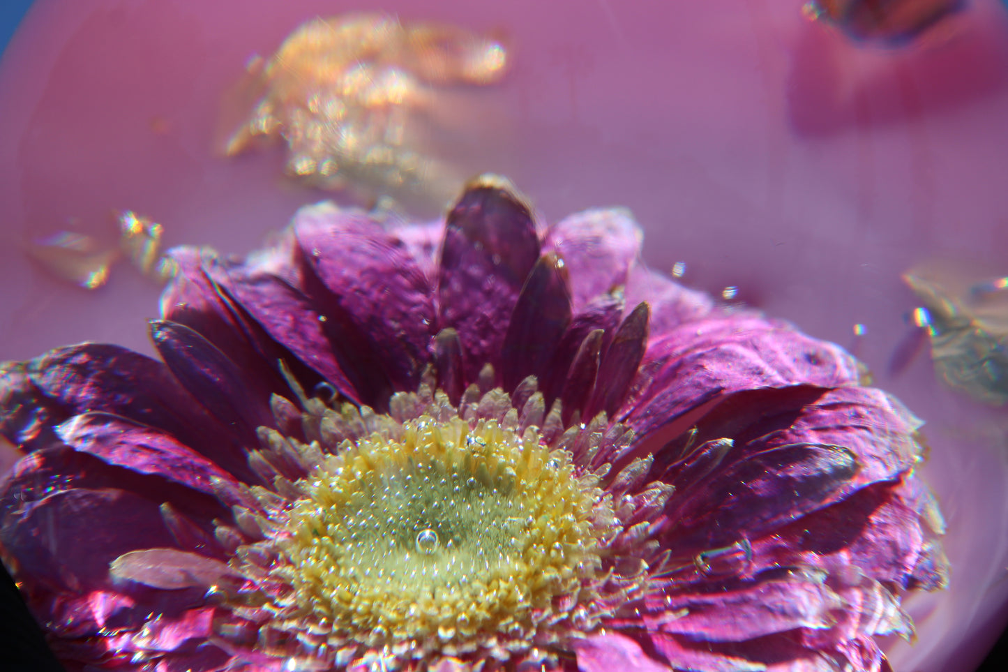Pink Sun Flow