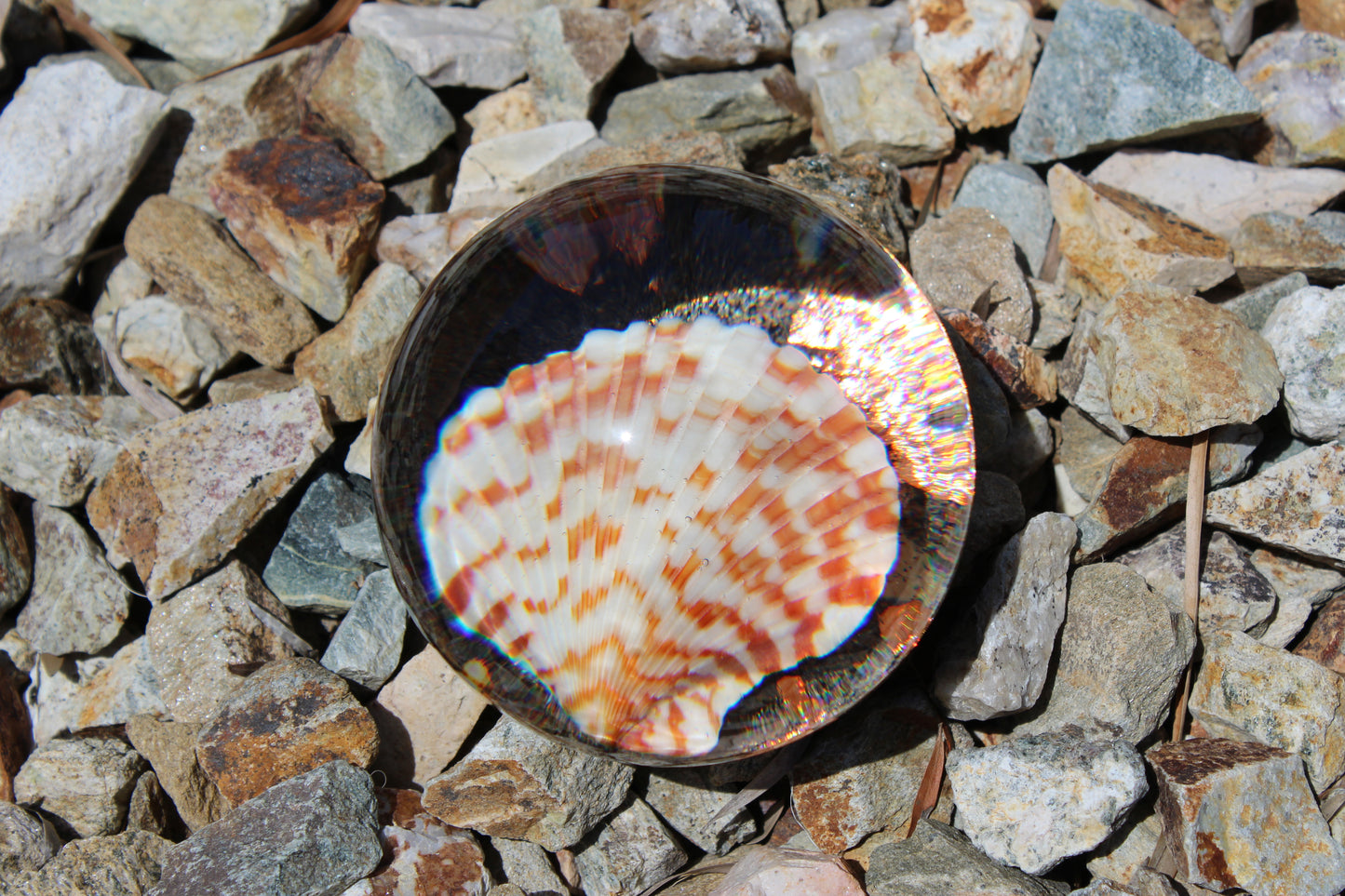 Caramel Shell