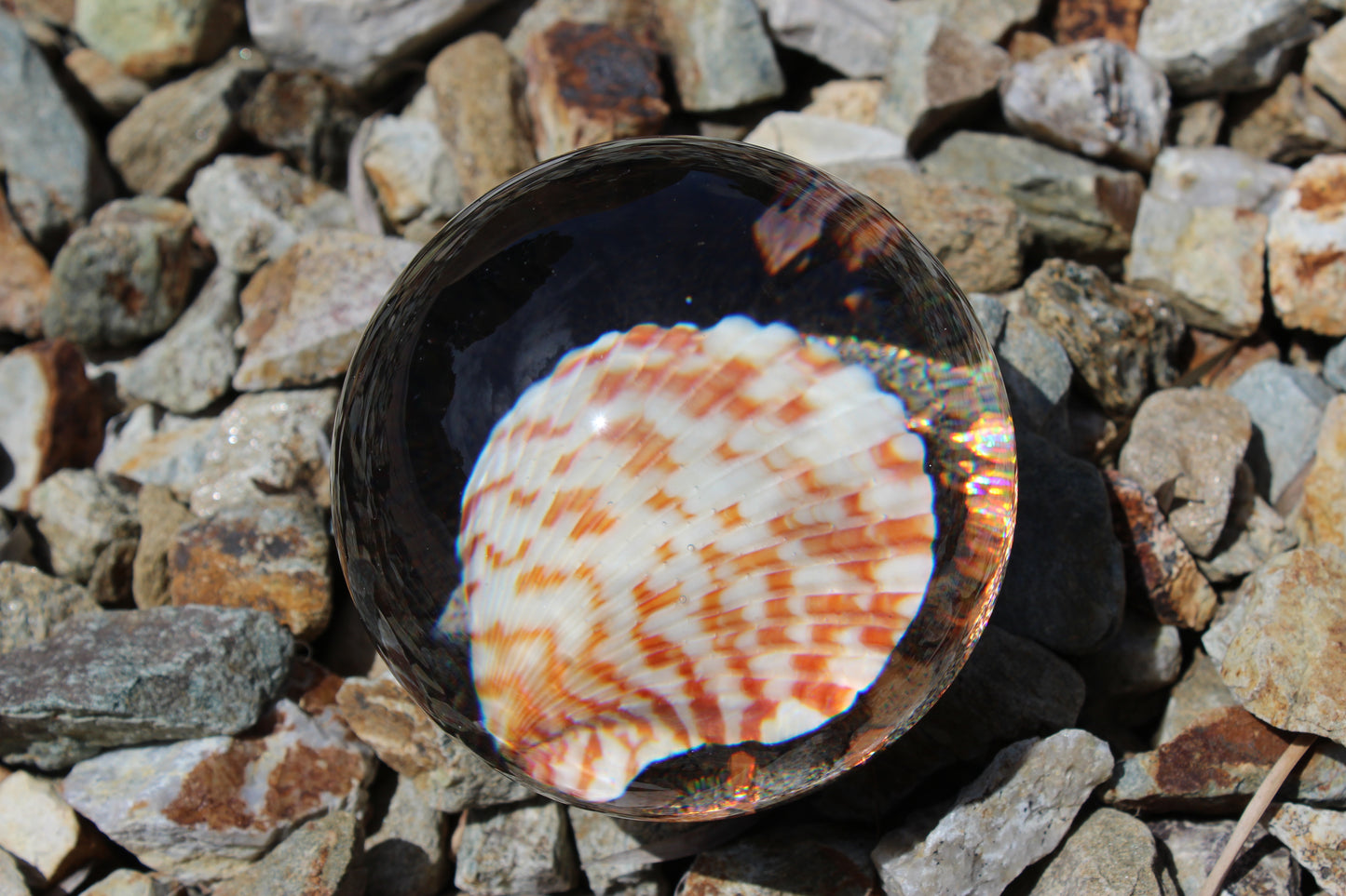 Caramel Shell