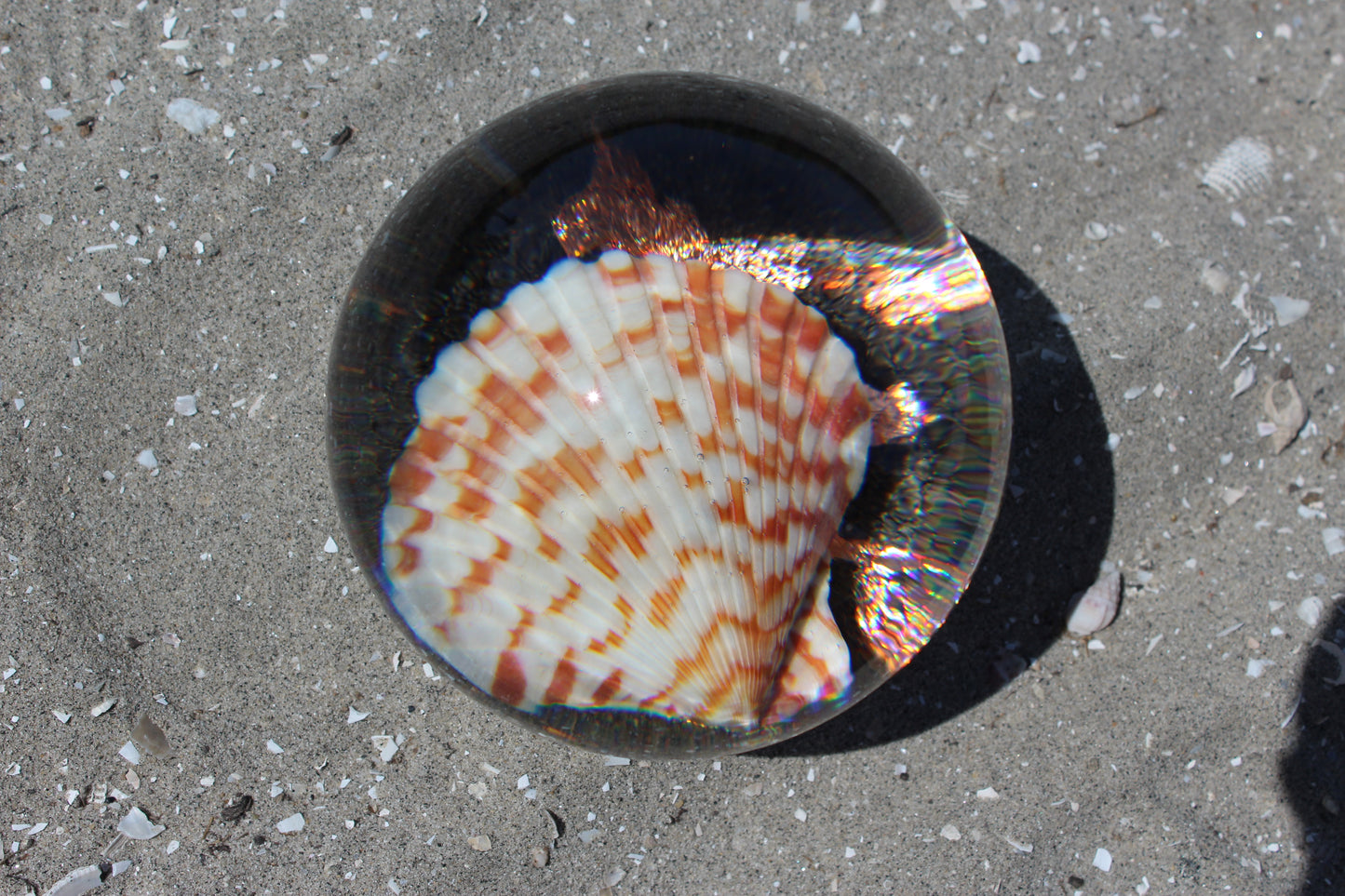 Caramel Shell