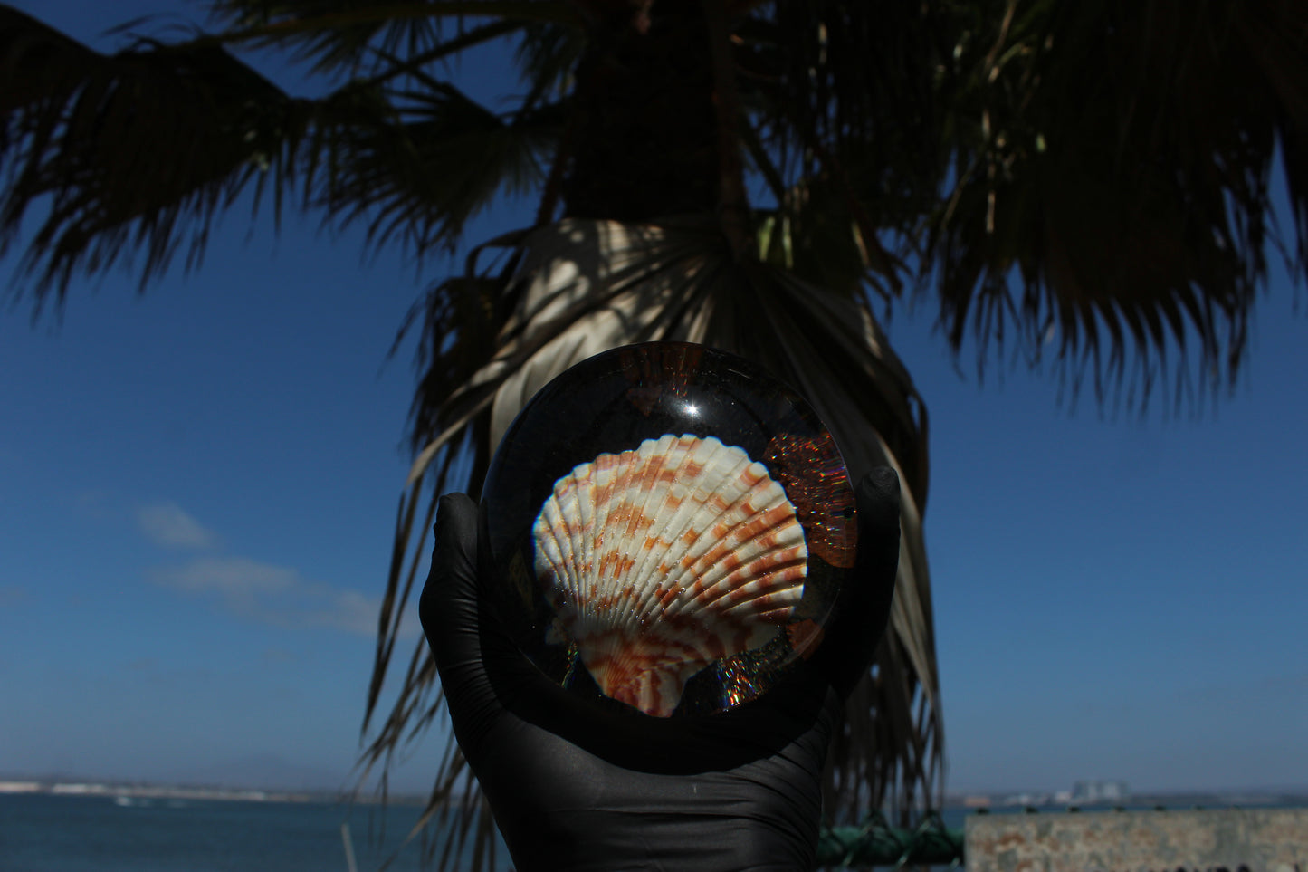 Caramel Shell