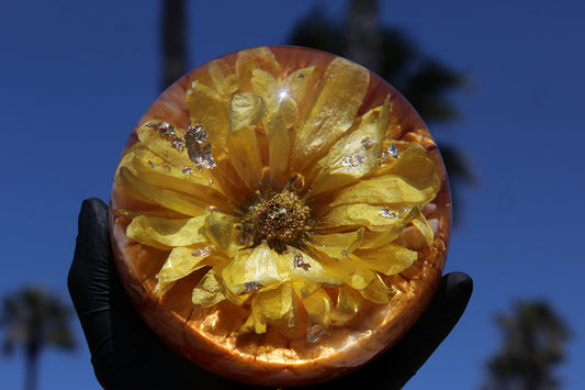 Gerbera Pineapple