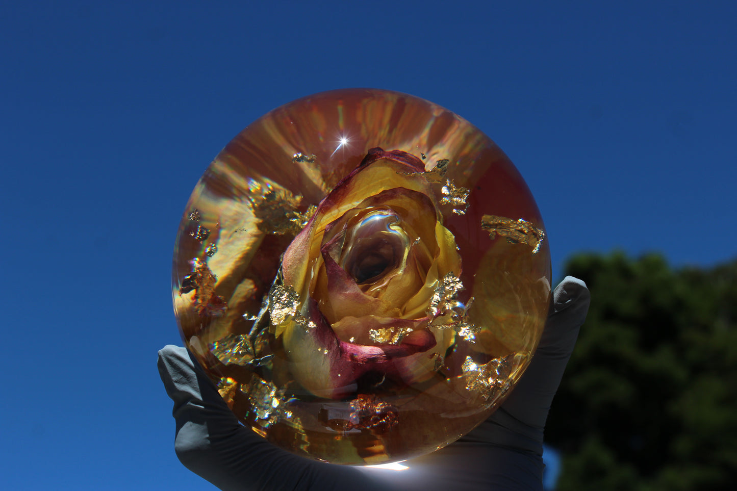 Raspberry Lemonade II