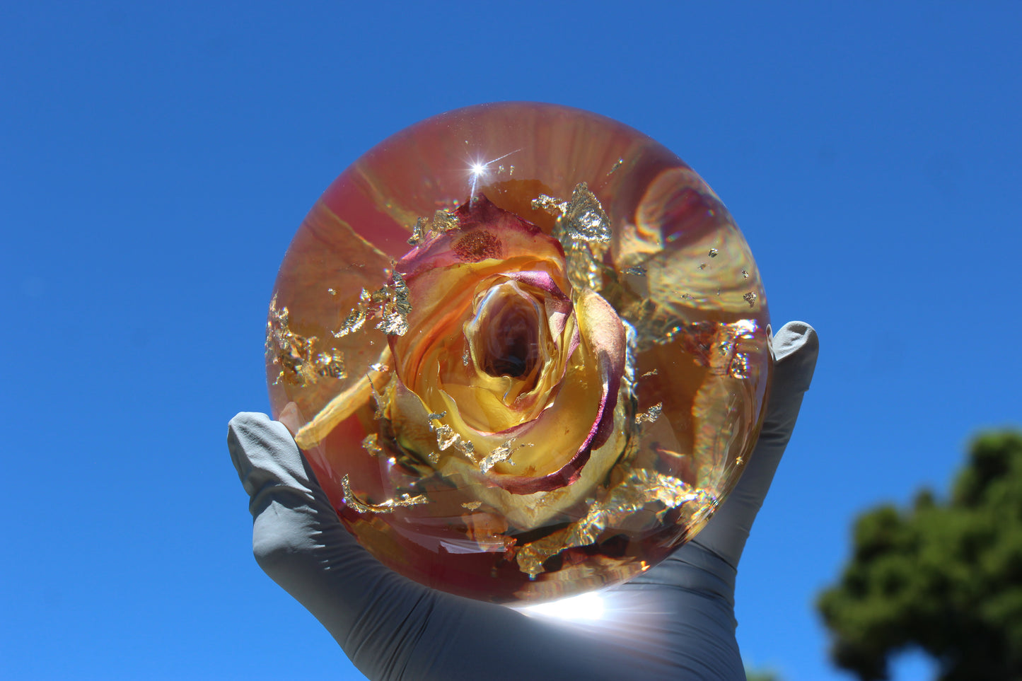 Raspberry Lemonade II