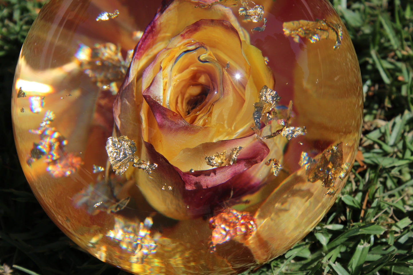 Raspberry Lemonade II