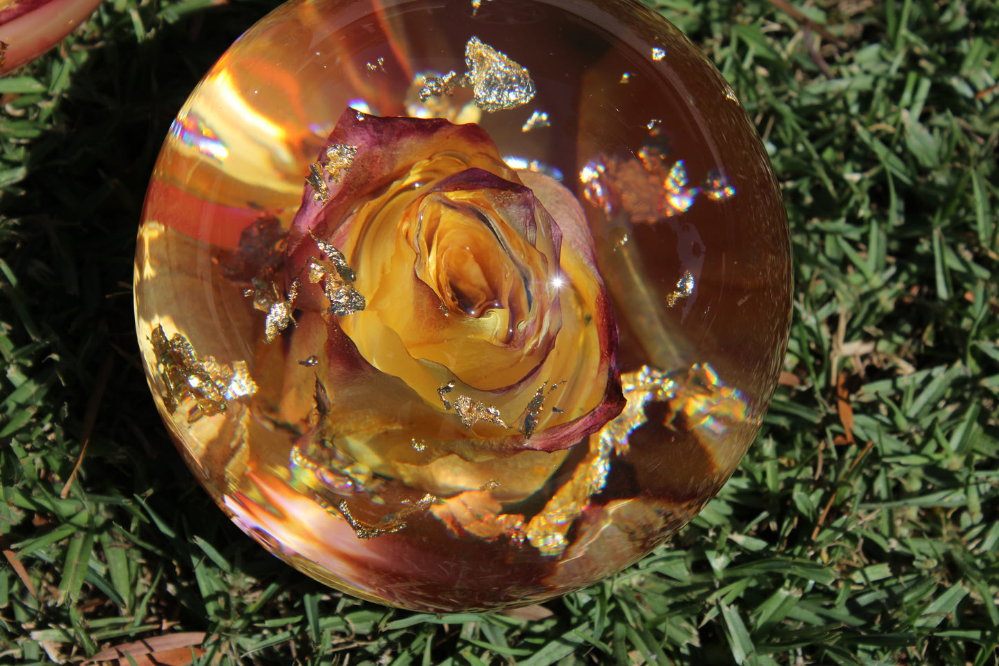 Raspberry Lemonade II