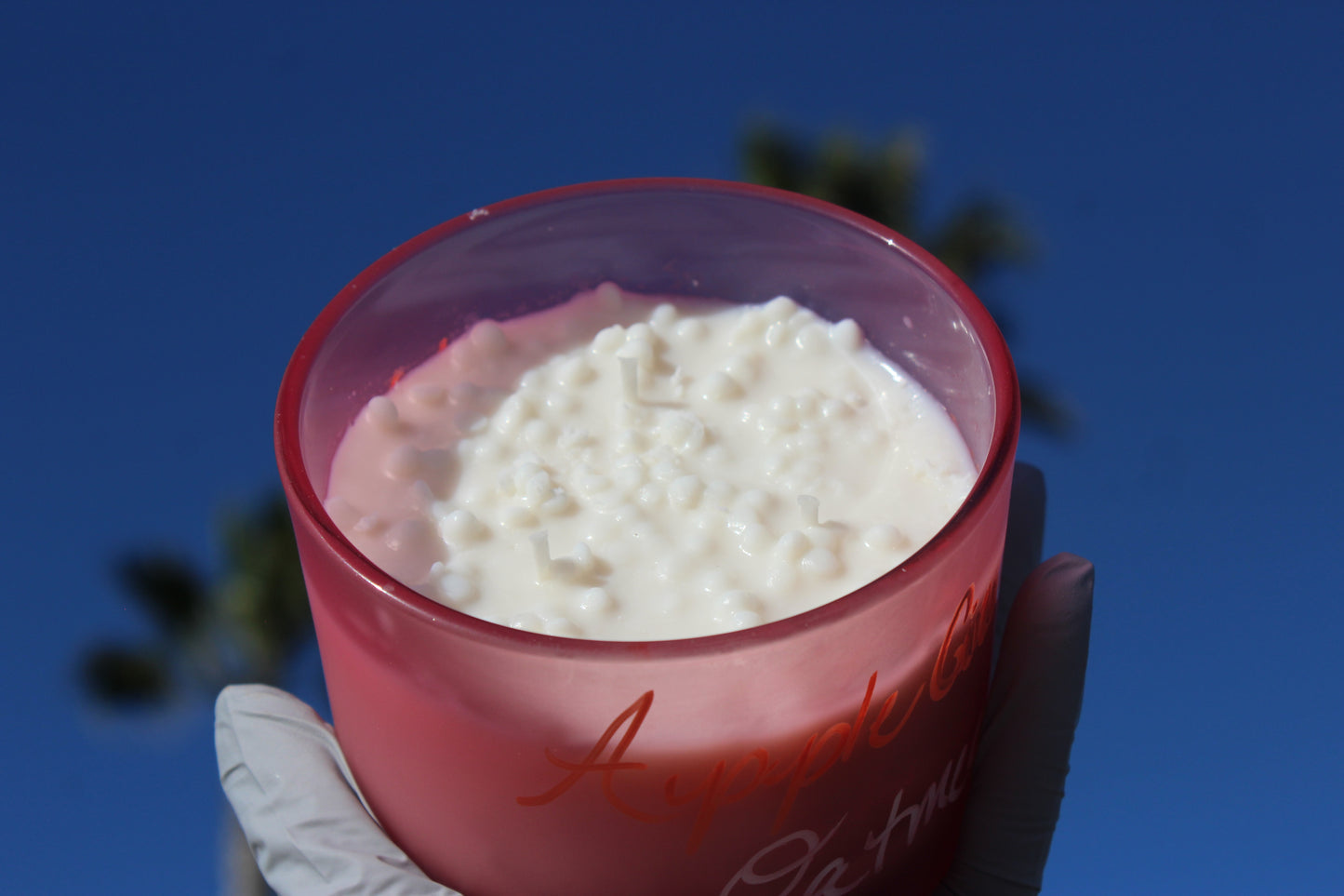 Apple Cinnamon Oatmeal