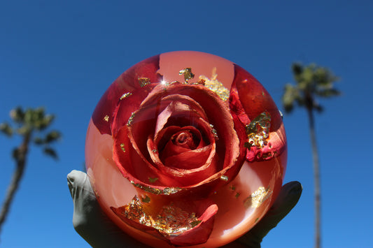 Mimosa Rosé