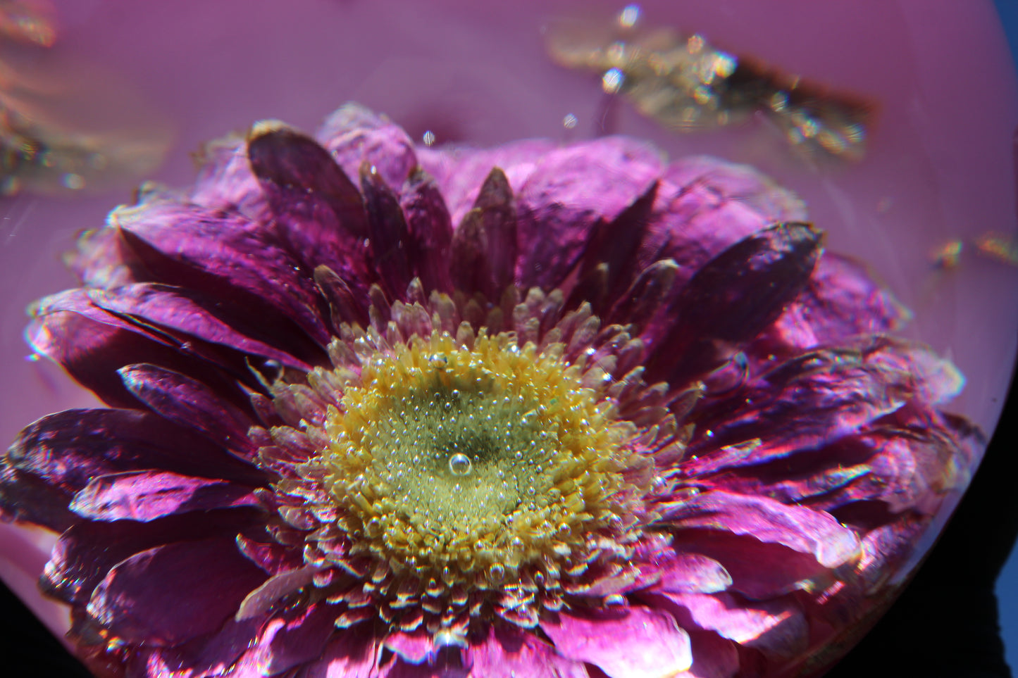 Pink Sun Flow