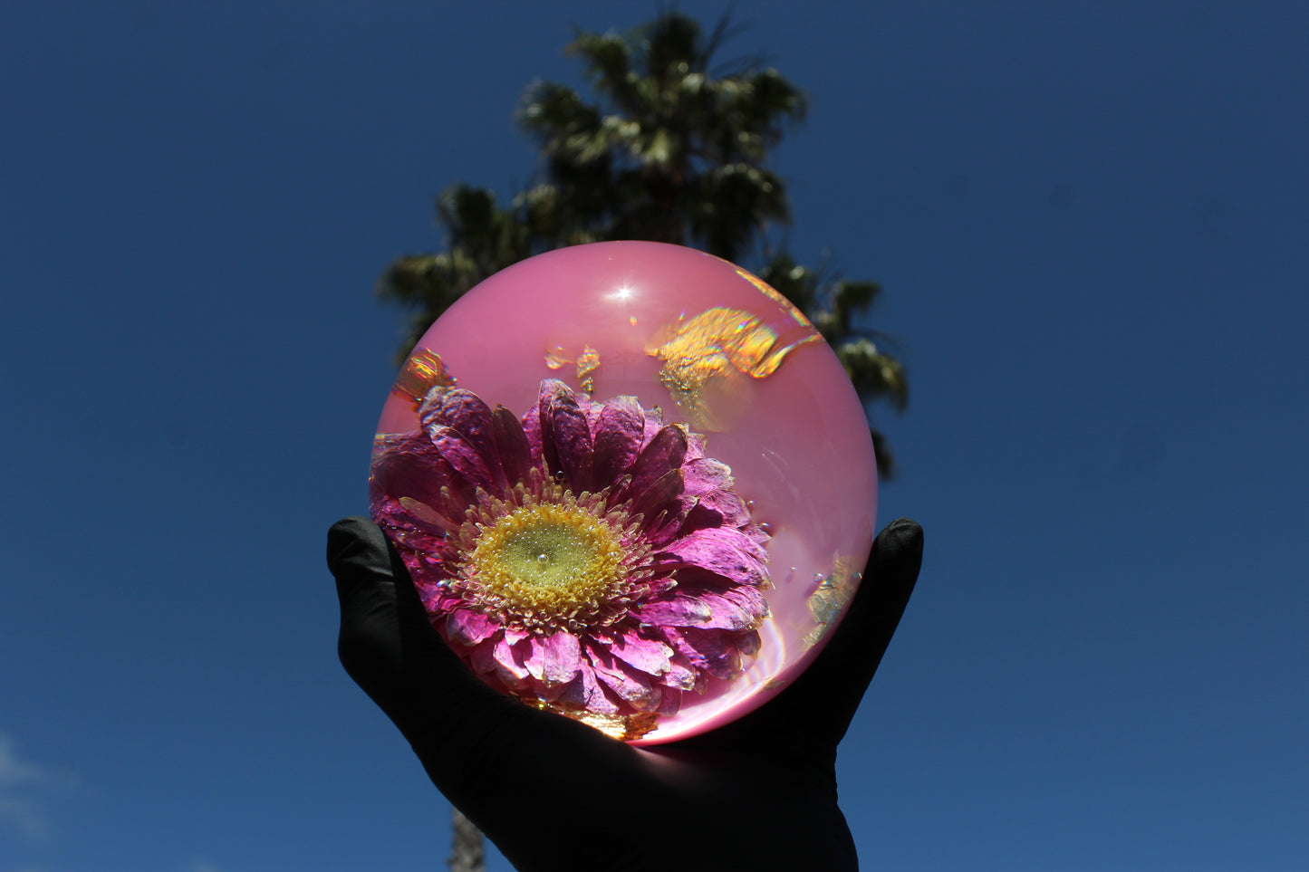 Pink Sun Flow