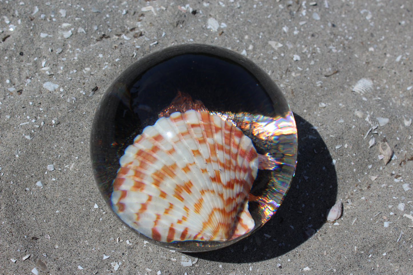 Caramel Shell