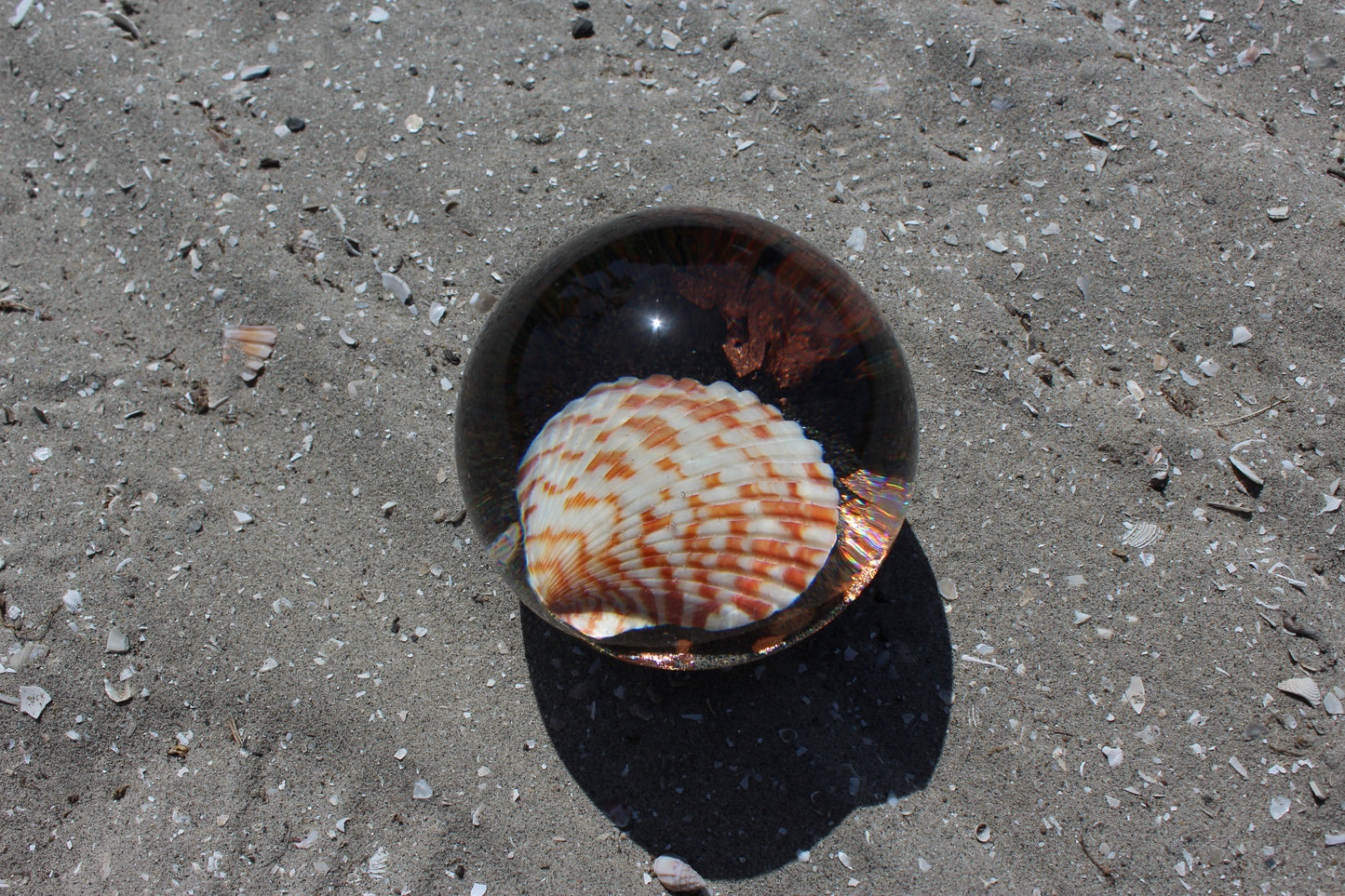 Caramel Shell