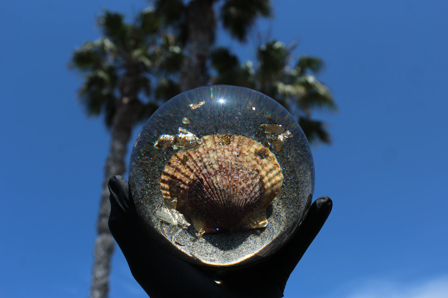 Tiger Shell