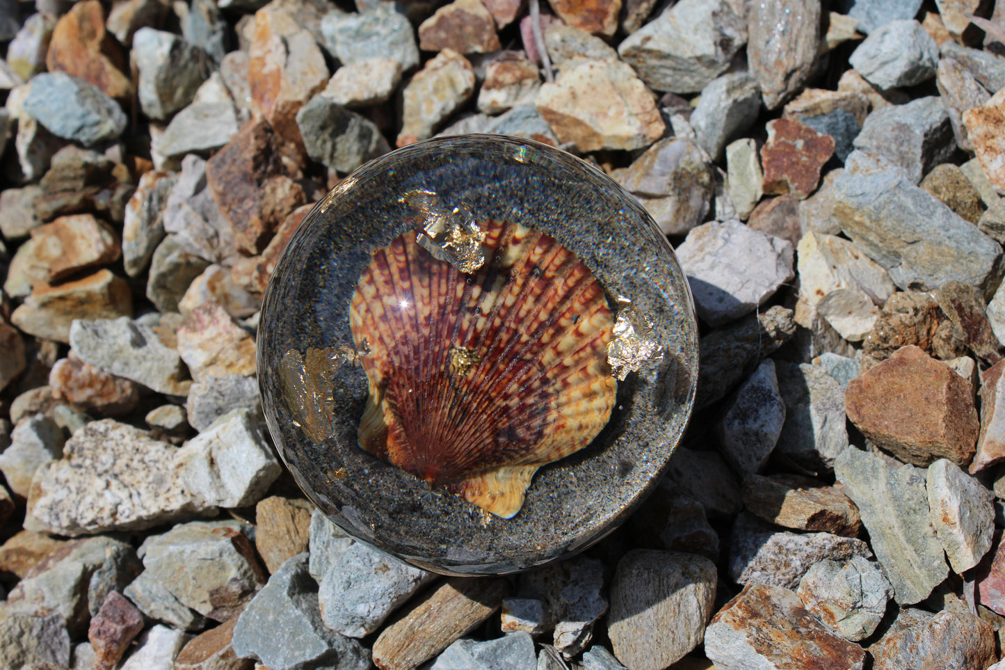 Tiger Shell
