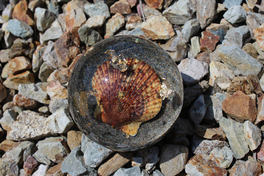 Tiger Shell