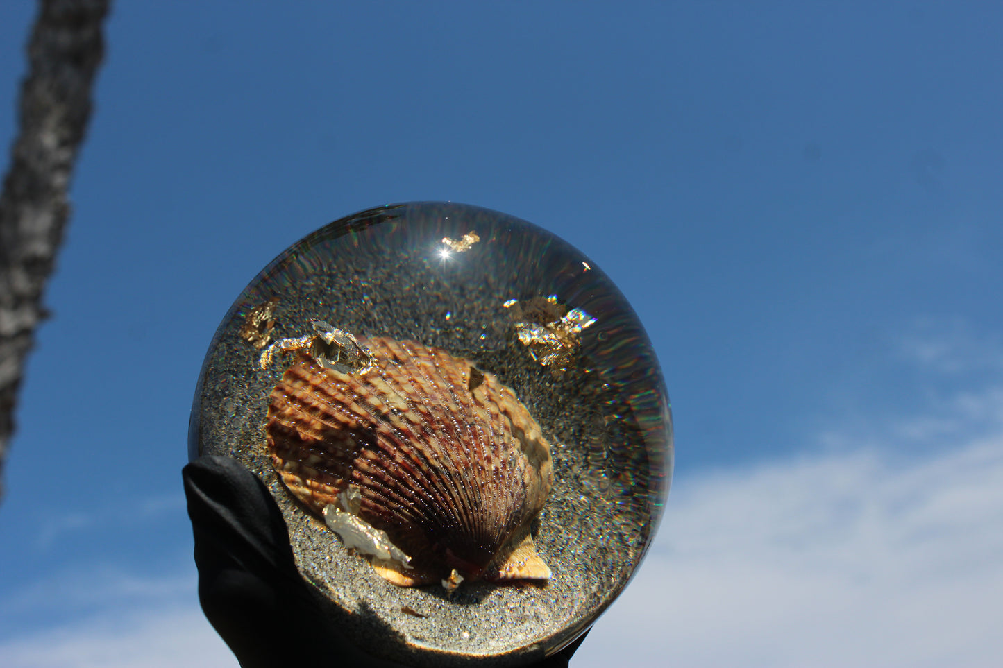 Tiger Shell