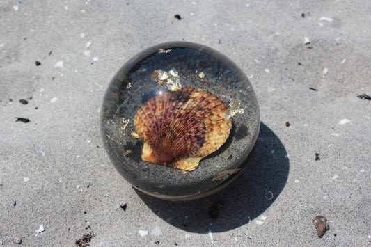 Tiger Shell