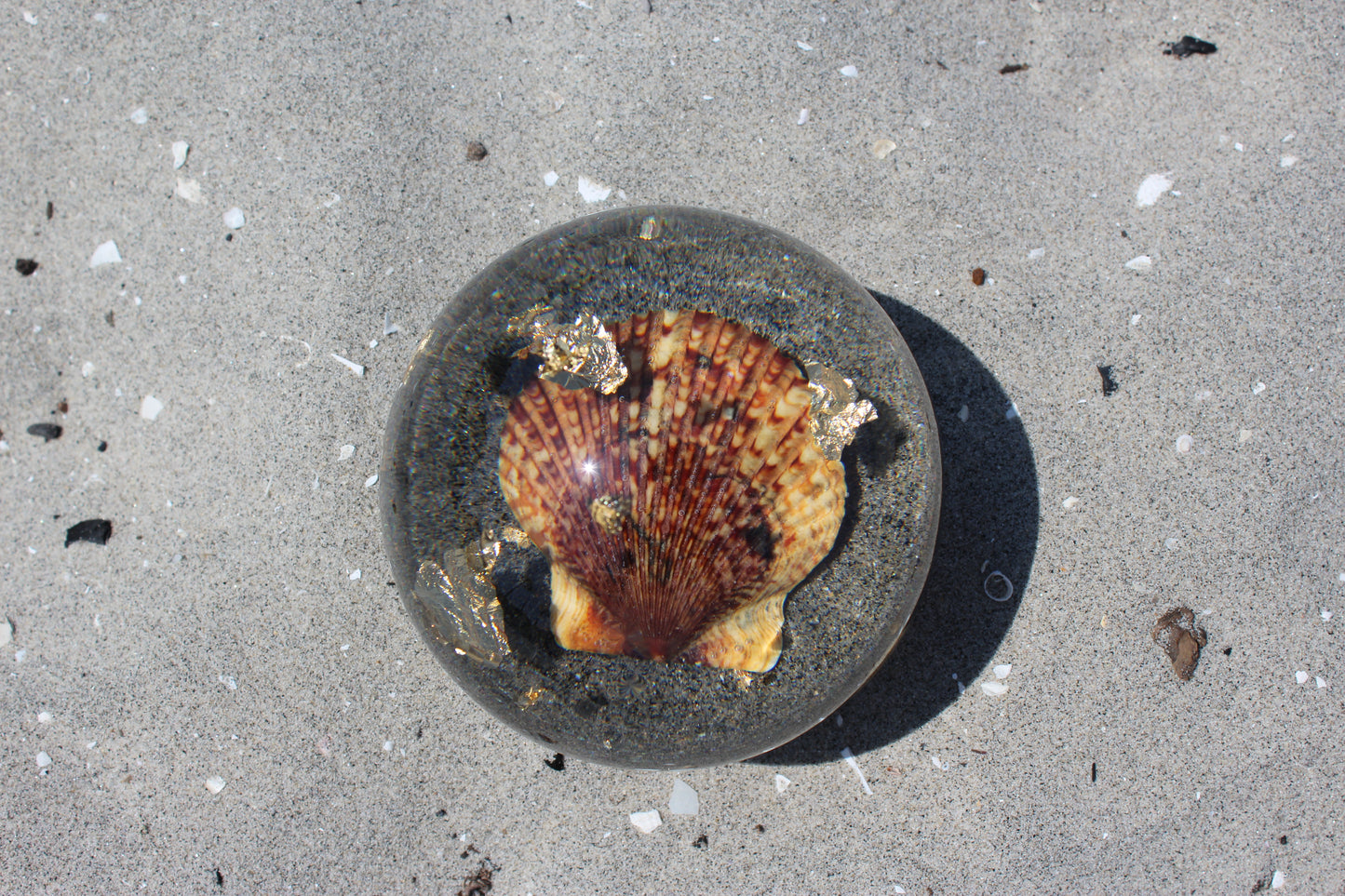 Tiger Shell