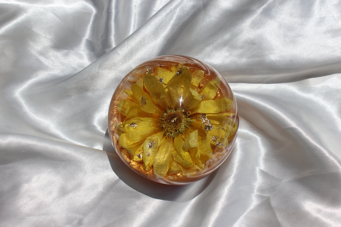 Gerbera Pineapple