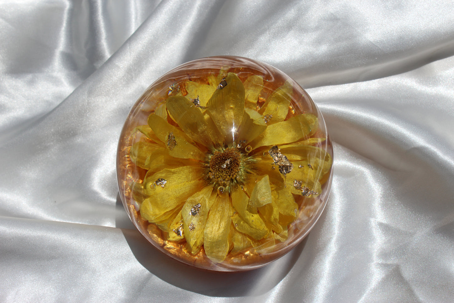 Gerbera Pineapple
